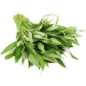 Gói 100g hạt giống rau muống lá tre Việt Nam