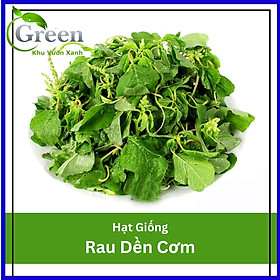 Hạt Giống Rau Dền Cơm Năng Suất Cao