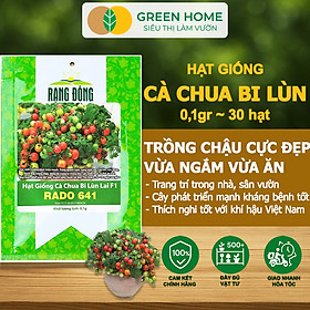 Mua Hạt Giống Cà Chua Bi Lùn Lai F1 GreenHome  Gói 0 1g~30 hạt  Dễ Trồng Quanh Năm  Trồng Chậu T41