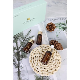 AMPOULE ĐẶC TRỊ MỤN - THE ELISE VELVET ACNES CONTROL AMPOULE hộp (lẻ 1 ống)