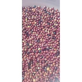 Mua 500 gram hạt đậu săng (đậu chiều)