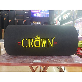 Mua Loa CROWN 8: Dáng ống tròn  Bass 20  Có Bluetooth  Công suất lớn  Nguồn điện 220v hoặc 12v