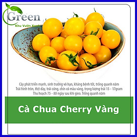 Hạt Giống Cà Chua Cherry Vàng Lai F1