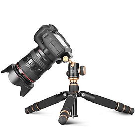 Đảm Bảo Chất Lượng Thời Đại Ánh Sáng Q166 Máy Ảnh SLR Mini Chụp Ảnh Để Bàn Chân Máy Di Động Đa Chức Năng Chân Máy Ảnh