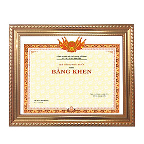 Khung Bằng Khen A3 - 10 cái