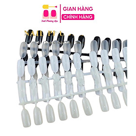 Vỉ Móng Mẫu Form Tròn Học Nail Chuyên Dụng, Bịch 240 Móng, Nhựa Loại 1, Tập Sơn Vẽ Hoạt Hình Làm Nail, Dễ Dàng Tách Ra Nữ Women