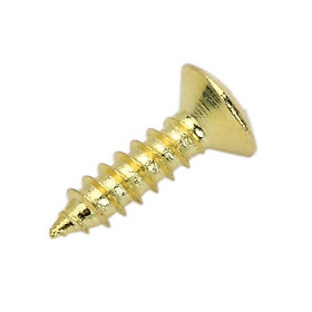 PICKGUARD SCREWS For Guitar 10 Pieces PER SCRATCH PLATE / Gold