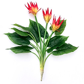 Bụi Thiên Điểu Kiểng