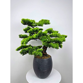 Mua Cây tùng giả - Cây bonsai giả - Cây giả  hoa lụa Decor trang trí nhà cửa