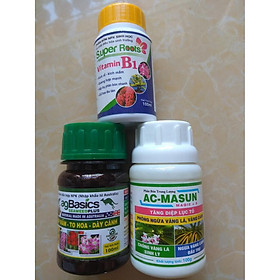 Mua Bộ sản phẩm chăm sóc cây sứ thái mập thân to lá (Ag Basics+AC Masun+B1 Super roots ) - 100ml/chai