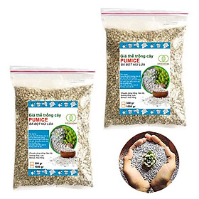 Bộ 2 Đá pumice (đá bọt núi lửa)-Trồng sen đá, xương rồng, hoa hồng, bon sai và cây cảnh.-size 3-5mm-(Túi 1KG)