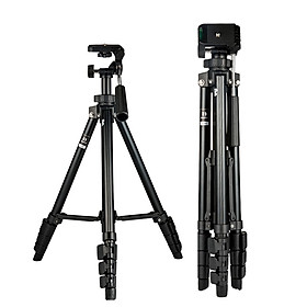 CHÂN MÁY ẢNH BENRO T560 - Hàng Chính hãng