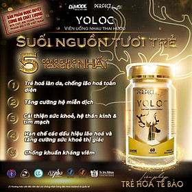 Nhau thai hưu YOLOC lọ 60 viên