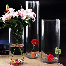 Mua Lọ thủy tinh trong suốt hình trụ tròn  cao 25 cm  chuyên cắm hoa  trồng cây thủy sinh  nuôi cá cảnh nhỏ