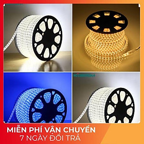 Dây led trần phòng khách đèn led dây đui đơn 2835 trang trí nhà