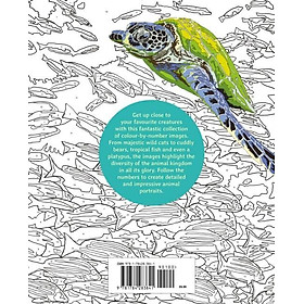 Sách - Animal Kingdom Colour by Numbers by Martin Sanders (UK edition, paperback)