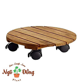 Mua Đế Lót Chậu Cây Cảnh Chậu Hoa Có 4 Bánh Xe Khóa An Toàn Bằng Gỗ Tràm Bông Vàng Trong Nhà Sân Vườn Ngoài Trời