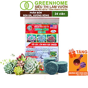 Mua Phân Bón Sen Đá Greenhome  Gói 24 Viên  Kích Rễ  Lên Màu Chuẩn  Dùng Cho Cây Mọng Nước  Xương Rồng