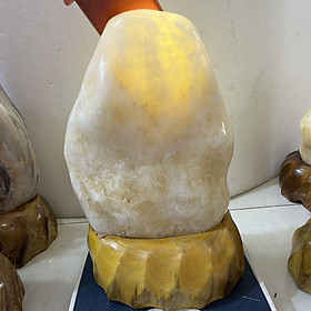 Mua Cây đá tự nhiên trong ngà cho người người mệnh Kim và Thổ nặng hơn 9 kg cao 38 cm CÂYXANH9KG