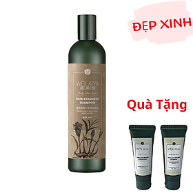 Dầu gội gừng hà thủ ô Weilaiya giúp kích mọc tóc, nuôi dưỡng và phục hồi tóc hư tổn Tặng Kèm Gội (Xả) Mini Weilaiya Ngẫu Nhiên