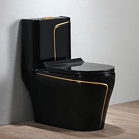 Mua Bồn cầu liền khối màu đen viền vàng độc đáo