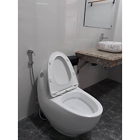 Mua Bệt quả trứng KB 2009