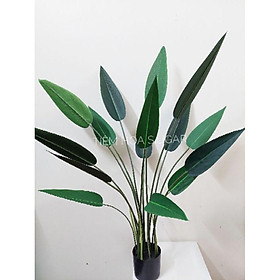 Mua Cây chuối nước giả lá vải ép xịn cao cấp hàng loại 1