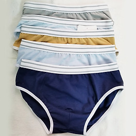 Combo 05 quần brief bé trai - GA Kids