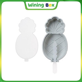 Khuôn Làm Kem Silicon Cho Bé Tách Lẻ có nắp, kèm que nhựa chứng nhận PP  Wining Box