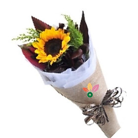 Tình Yêu Tỏa Sáng – 164