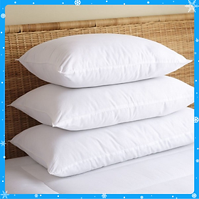 Mua Bộ 2 ruột gối nằm trắng - Hàng Chất Lượng