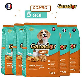 Combo 5 gói thức ăn cho chó trưởng thành Ganador vị gà nướng Adult Roasted Chicken Flavor 400gr