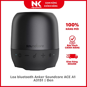 Mua Loa bluetooth Anker Soundcore ACE A1 A3151 Đen - Hàng Chính Hãng