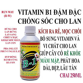 Bộ 5 Phân bón đậm đặc HPV Vitamin B1 cho Phong Lan 250ml - Tăng cường mạnh bộ rễ, nâng cao sức đề kháng với cây