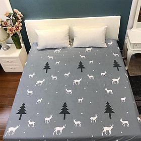 Ga Chống Thấm Cotton Nano Kháng Khuẩn (160x200x10cm)  Loại 1 Mẫu Mới