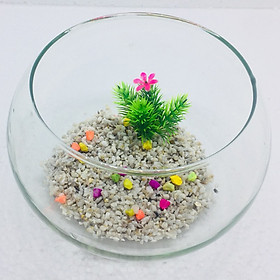 Bể cá mini để bàn tròn T11 Tặng phụ kiện