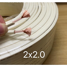 Mua 1M DÂY LOA 2 LÕI ĐỒNG NGUYÊN CHẤT OFC MONTER HÀNG ĐẸP CAO CẤP