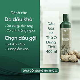 Dầu Gội Weilaiya - Dầu Gội Mọc Tóc - Giảm Rụng (Chai lớn 400ml)