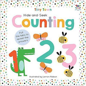 Hide-and-Seek Counting (IT) - 