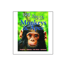 Monkeys and Apes
