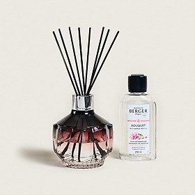 Maison Berger - Bộ lọ tinh dầu khuếch tán Plum Molecule - 200ml - 2 món