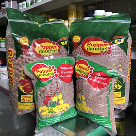 Mua Đất Sét Nung Popper Thái Lan Trồng Lan  Sen Đá  Cây Cảnh