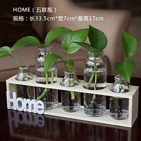 Mua Set 5 lọ thủy tinh cao thấp cắm hoa kèm kệ gỗ Home.