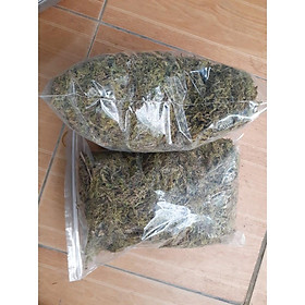 Mua RÊU RỪNG TRỒNG LAN