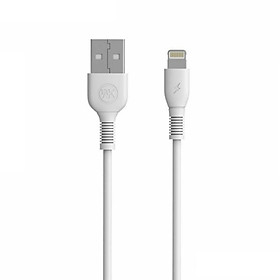 Mua Cáp sạc nhanh iPhone Ipad cổng Lightning Remax WK WDC-042i dài 2 mét - Hàng nhập khẩu