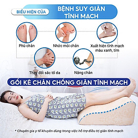 GỐI CHỐNG GIÃN TĨNH MẠCH YOROKOBI- KÍCH THƯỚC 59x48x28cm, HÀNG THƯƠNG HIỆU