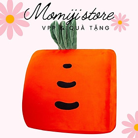 Mua Gối tựa lưng cao su non văn phòng oto xe hơi giá rẻ