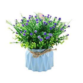 Mua Chậu hoa baby để bàn  kệ tủ trang trí nhà cửa (đã cắm sẵn)