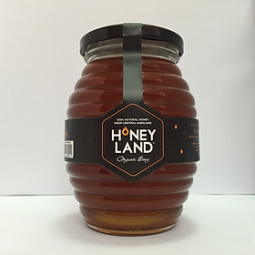 Mật ong Hoa Rừng Tây Nguyên hũ 500g