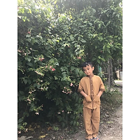 Đồ bé trai cổ lãnh tụ ( 3 tháng đến 14 tuổi )